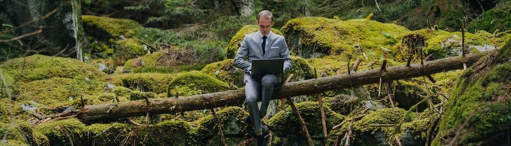 He relaxes on fallen tree and hosts meeting on laptop